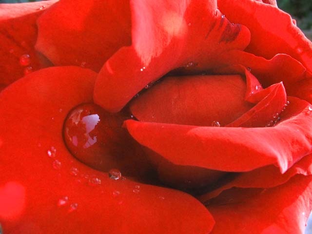 [243077459_d2bd72c4c2_o[3].jpg]