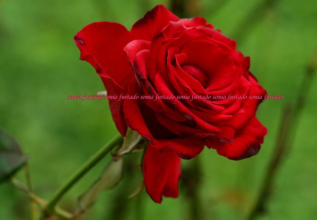 [3618341100_c0ed5f55e7_b[3].jpg]