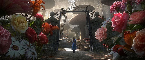 [alice3[3].jpg]
