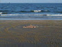 1282692546776