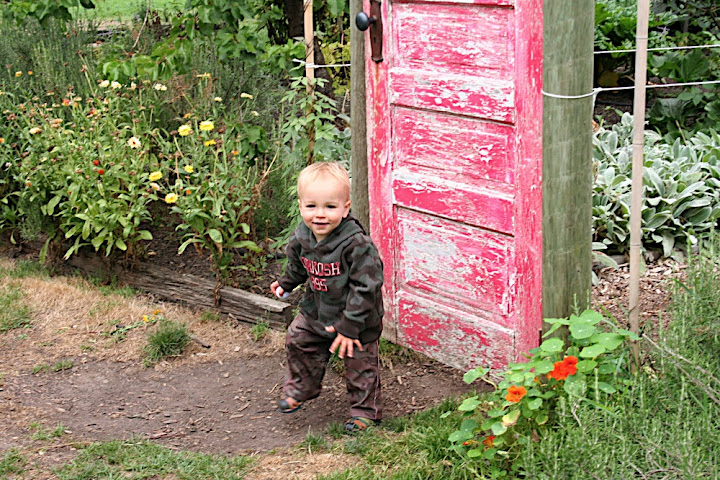 Owen at the Brewery