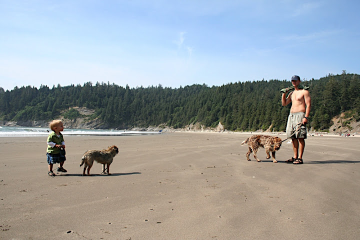 Taking the puppies for a beach stroll