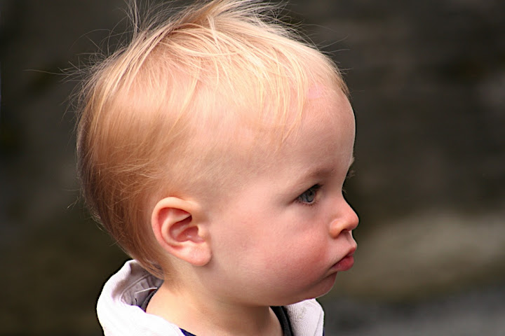 Owen watching the sea birds