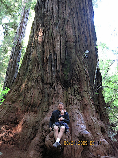 A Father his Boy and a Tree