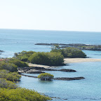 Floreana Island - There were dozes of sea turtles swimming in the bay