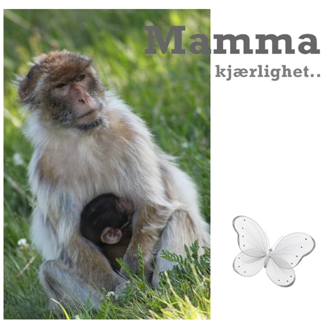 blogg søndag3 blogg søndag3