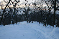 IMG_8359.JPG Photo