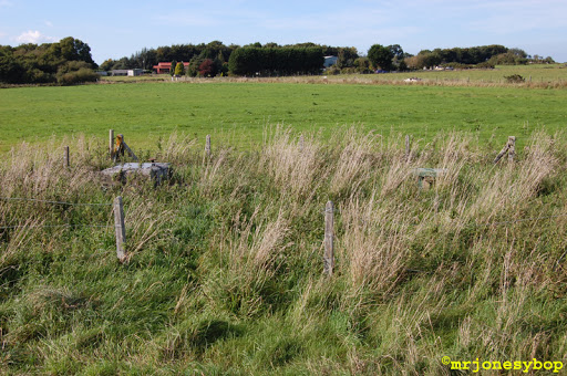 raf winkleigh