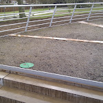 IMAG0115.jpg