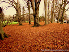 Dry Garden yet so fresh, Tarun Chandel Photoblog