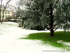 switzerland trip lucerne green in snow, Tarun Chandel Photoblog