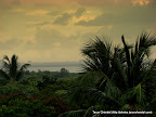 View from my window after the rains, Tarun Chandel Photoblog