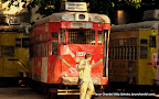 Tram Kolkata Trip, Tarun Chandel Photoblog