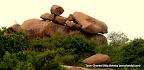 Forest Stones ISB Indian School of Business Hyderabad, Tarun Chandel Photoblog