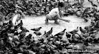 Girl With Pigeons Mumbai, Tarun Chandel Photoblog