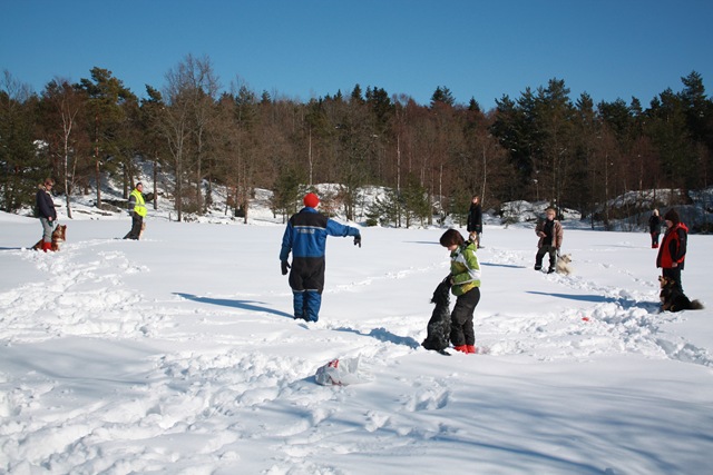 [KURS PÅ TJØME 018[3].jpg]