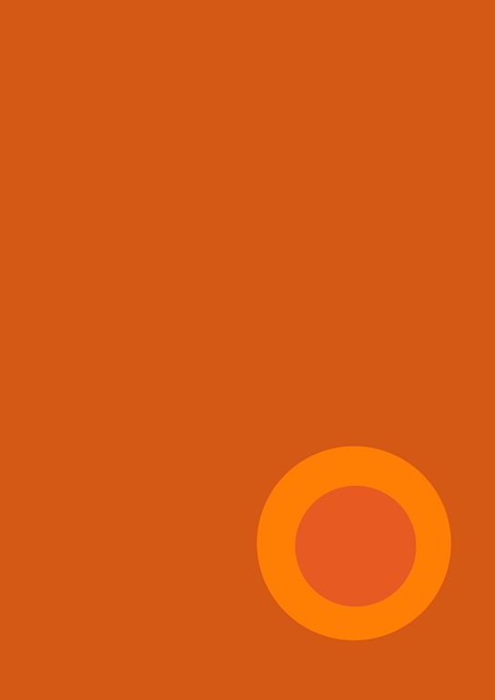 [Orange-colour-accent[2].jpg]