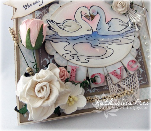 LoveSwans1