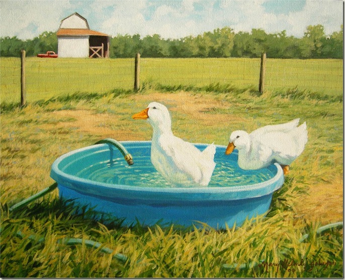Ducks in pool