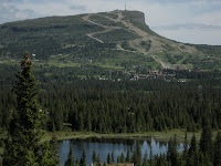 IMG_3485.JPG Photo