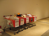 IMG_1145.JPG