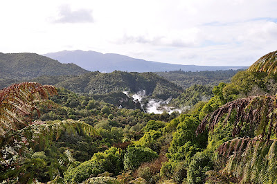 view of rift valley from outside visitor center at Waimangu Volcanic Valley