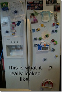 front of fridge 2