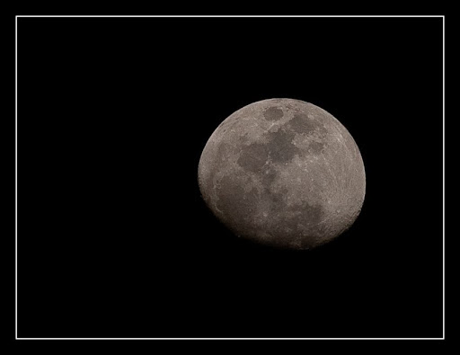 Тупой и еще тупее