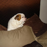 DSC03216.JPG