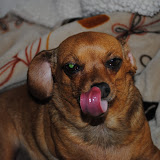 DSC_0025.JPG