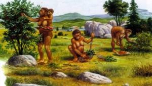 [clip_image002[3].jpg]