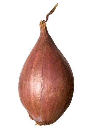 [shallot[5].jpg]