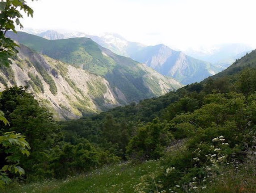 P1040497.JPG