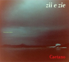 zii_e_zie