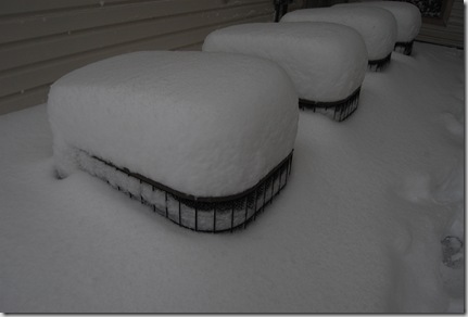 Pizza Snow 077