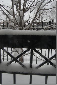 Pizza Snow 094