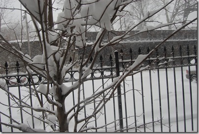 Pizza Snow 093