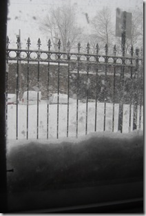 Pizza Snow 096