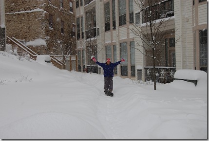 Snow 011