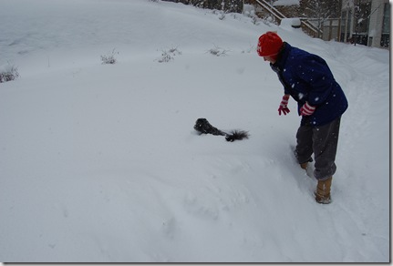 Snow 041