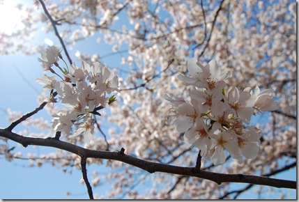 blog 045