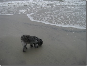 down the shore 129
