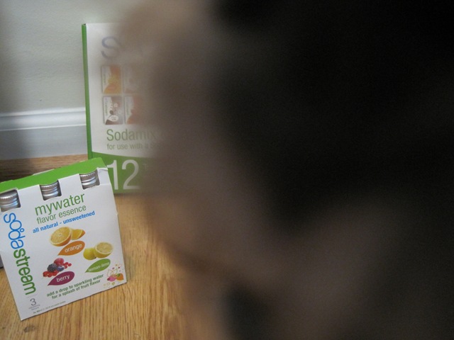 [September 2009 1010.jpg]