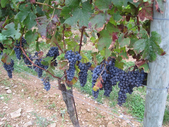 [September2009051[1].jpg]