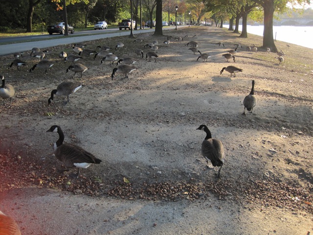 [pics 252[3].jpg]