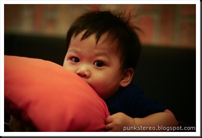 SONY DSC