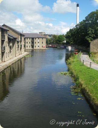 IMGP2436