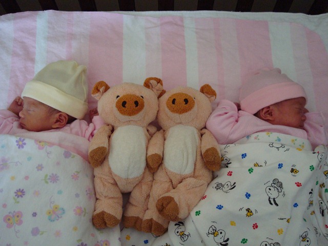 [DSC000945.jpg]