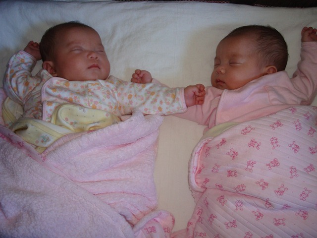 [DSC005227.jpg]