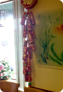 Firecrackers_real